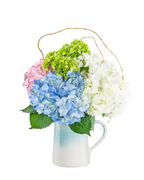 Sweet Hydrangea Chic Pitcher from Baker Florist in Dover, OH