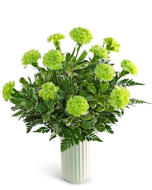 One Dozen Bright Green Carnations from Baker Florist in Dover, OH