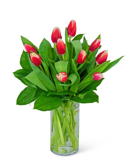 Tigress Tulips from Baker Florist in Dover, OH