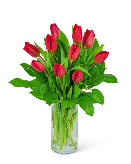 Red Tulips from Baker Florist in Dover, OH