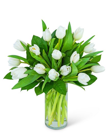 White Tulips from Baker Florist in Dover, OH