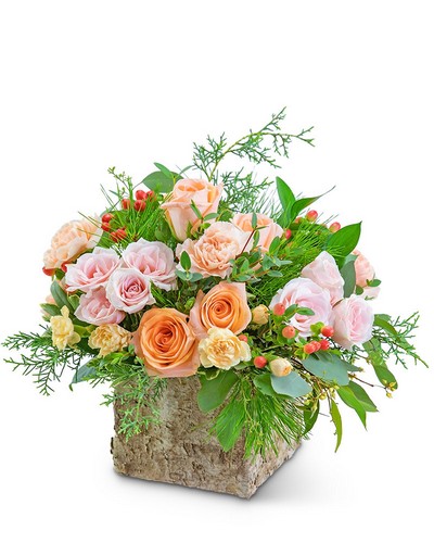 Woodland Twinkle from Baker Florist in Dover, OH