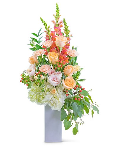 Sorbet Garden from Baker Florist in Dover, OH