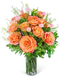 One Dozen Free Spirit Rose Symphony