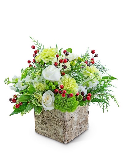 Berry Merry from Baker Florist in Dover, OH