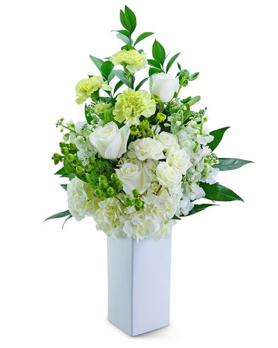 Pure Imagination from Baker Florist in Dover, OH