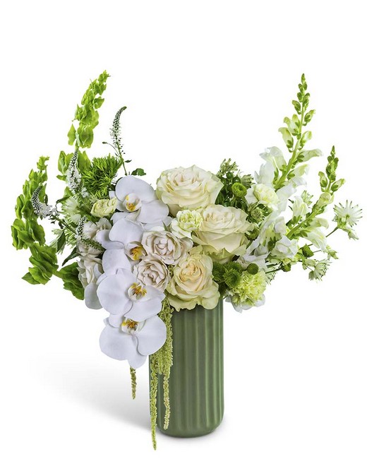 Cashmere Orchid Moment from Baker Florist in Dover, OH