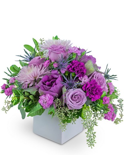 Contemporary Cleopatra from Baker Florist in Dover, OH