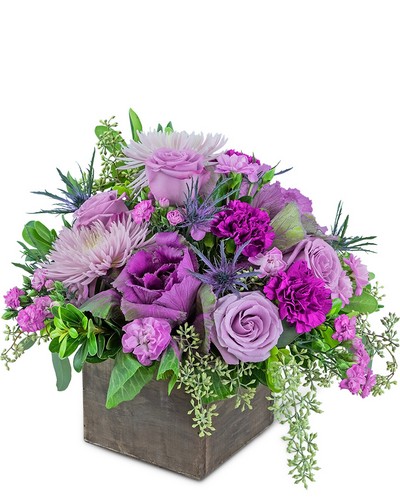 Midnight Jungle from Baker Florist in Dover, OH