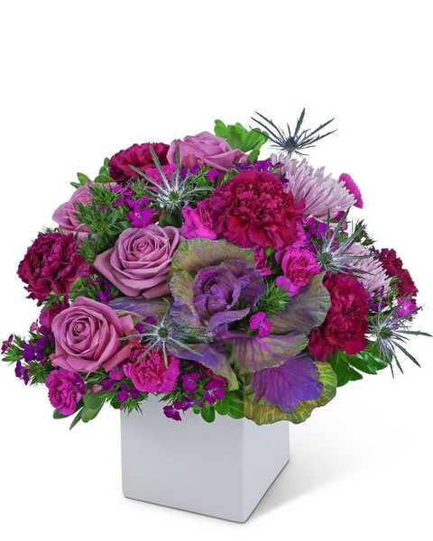 Pasadena Plum from Baker Florist in Dover, OH