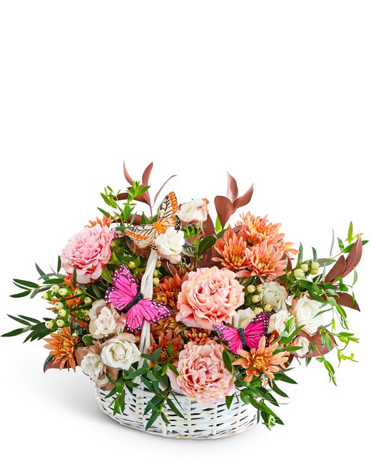 Cappuccino Cascade Basket with Butterflies from Baker Florist in Dover, OH