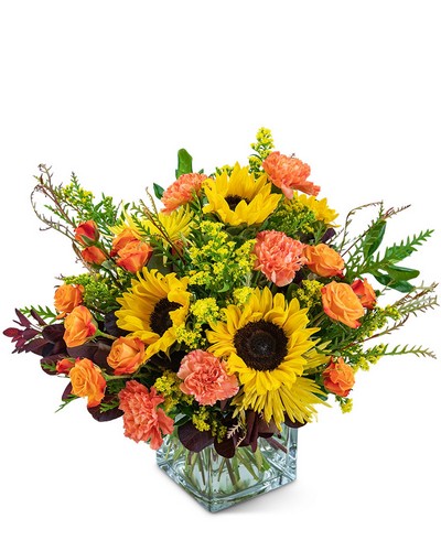 Splendid Sunflowers from Baker Florist in Dover, OH