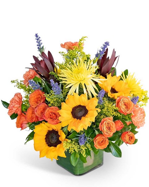 Splendid Abundance from Baker Florist in Dover, OH