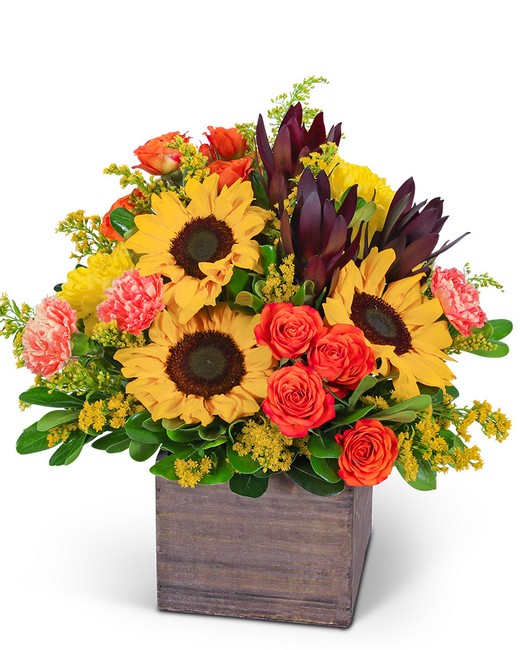 Sunbeam Luxe from Baker Florist in Dover, OH