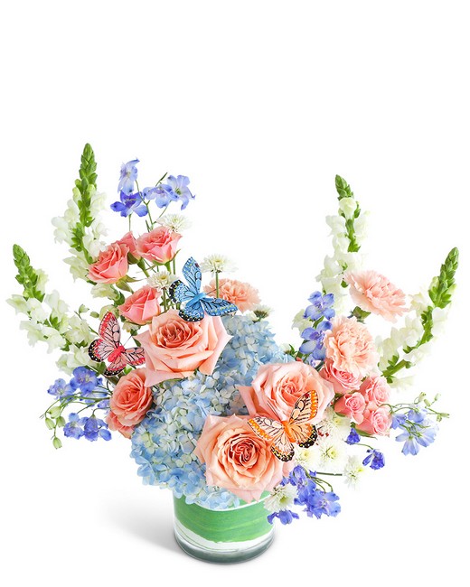 Juliette Butterfly Oasis from Baker Florist in Dover, OH
