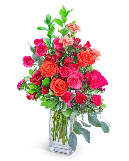 Bellini Sunset from Baker Florist in Dover, OH