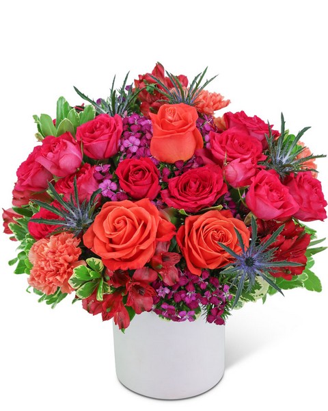 Dreamy Daiquiri from Baker Florist in Dover, OH