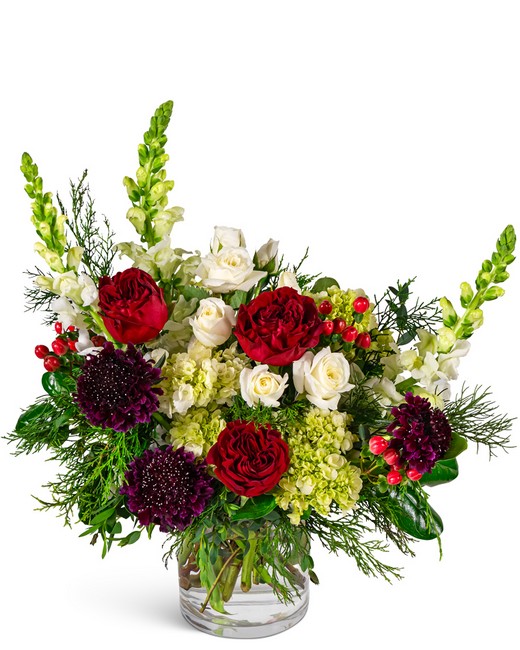 Scarlet Winter Splendor from Baker Florist in Dover, OH Scarlet Winter Splendor from Baker Florist in Dover, OH