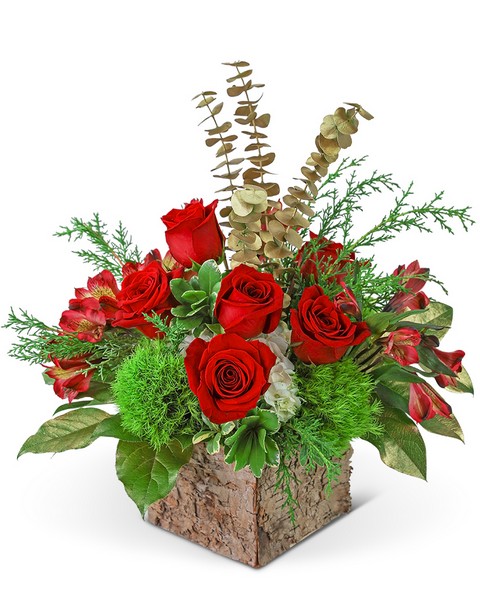 Noel Wonder from Baker Florist in Dover, OH