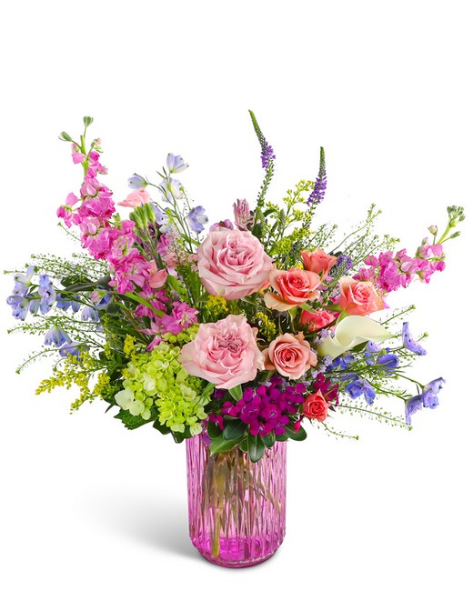 Windswept Radiance from Baker Florist in Dover, OH