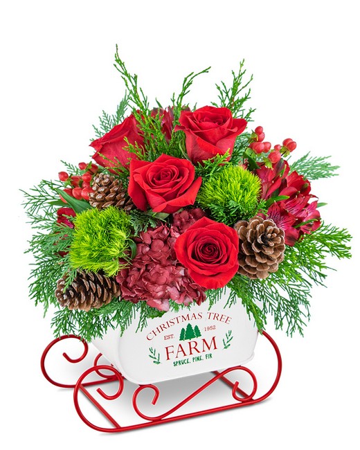 Festive Cranberry Keepsake Sleigh from Baker Florist in Dover, OH