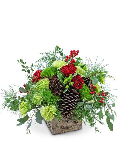 Filled with Awe from Baker Florist in Dover, OH