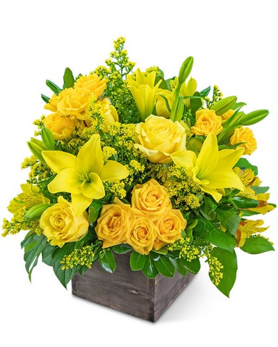 Honey Pecan from Baker Florist in Dover, OH