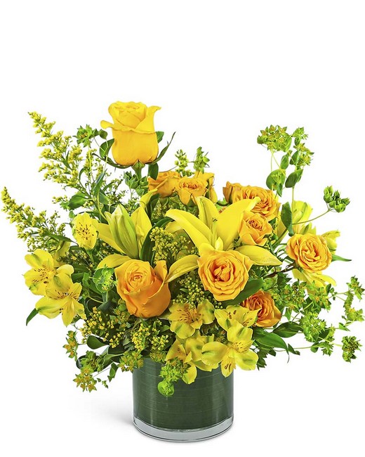 Limonata Breeze from Baker Florist in Dover, OH