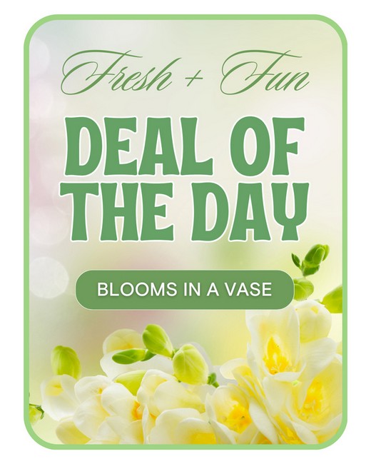 Florist's Deal of the Day from Baker Florist in Dover, OH
