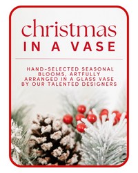 Designer's Choice Christmas Vase Arrangement