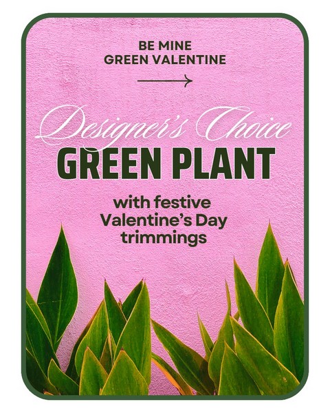 Designer's Choice Valentine's Day Green Plant  from Baker Florist in Dover, OH