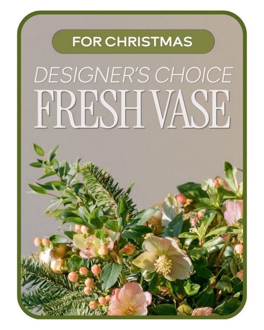 Designer's Choice Christmas in a Vase from Baker Florist in Dover, OH Designer's Choice Christmas in a Vase from Baker Florist in Dover, OH