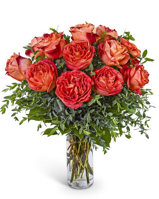 One Dozen Wild Spirit Roses from Baker Florist in Dover, OH