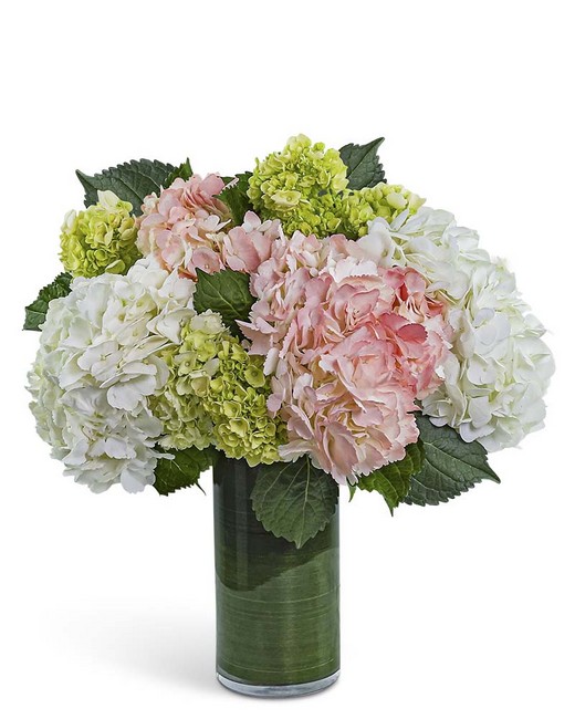 Hydrangea Glow from Baker Florist in Dover, OH