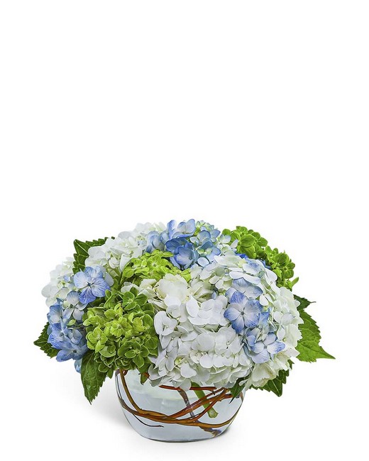 Dreamy Hydrangea from Baker Florist in Dover, OH