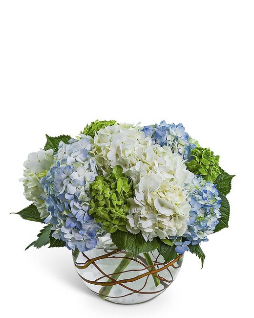 Hydrangea Heaven from Baker Florist in Dover, OH