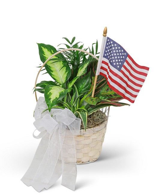 Patriotic Planter from Baker Florist in Dover, OH