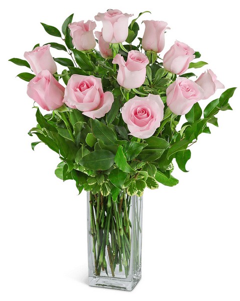One Dozen Light Pink Roses from Baker Florist in Dover, OH