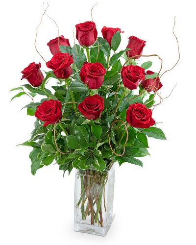 Dozen Red Roses with Willow from Baker Florist in Dover, OH