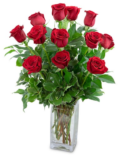 Classic Dozen Red Roses from Baker Florist in Dover, OH