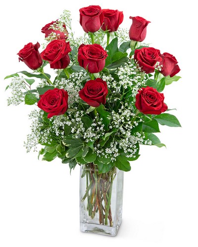Dozen Roses in a Cloud from Baker Florist in Dover, OH