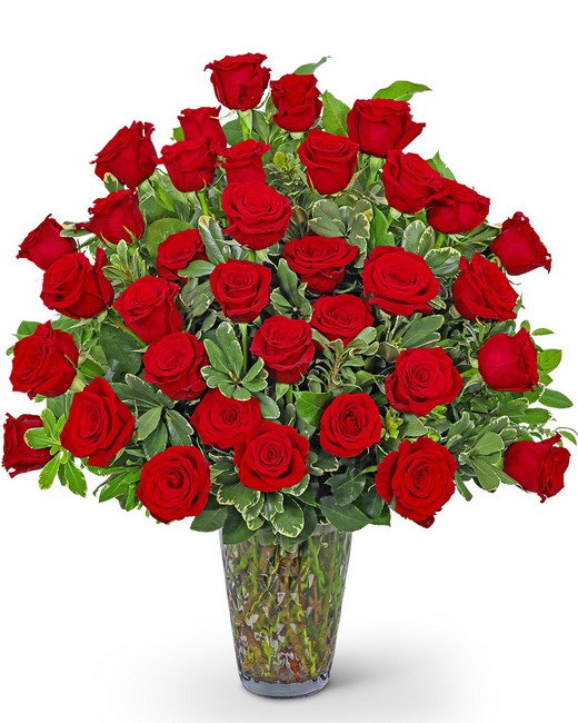 Three Dozen Elegant Red Roses from Baker Florist in Dover, OH