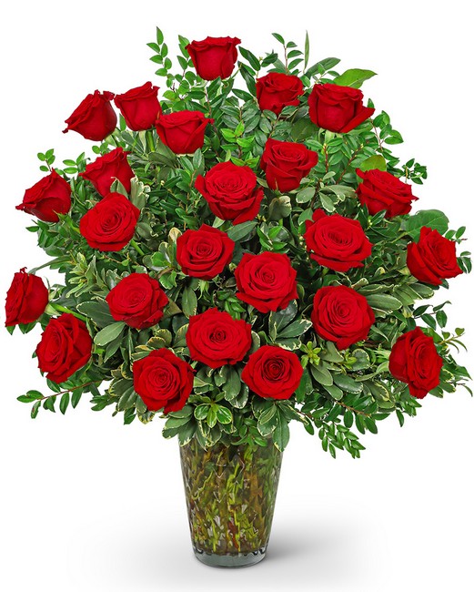Two Dozen Elegant Red Roses from Baker Florist in Dover, OH