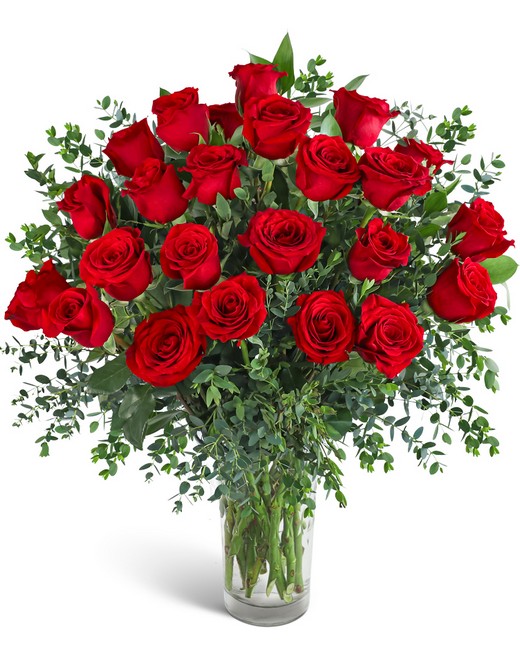 Two Dozen Red Hot Roses from Baker Florist in Dover, OH