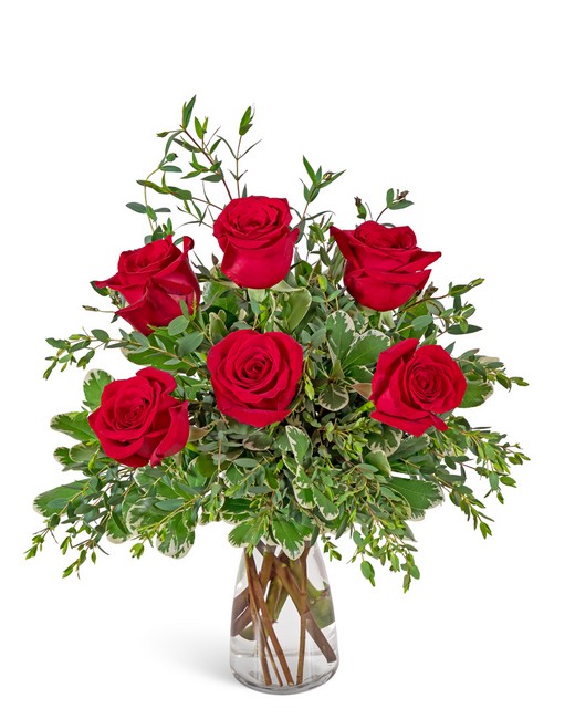 Half Dozen Red Roses from Baker Florist in Dover, OH