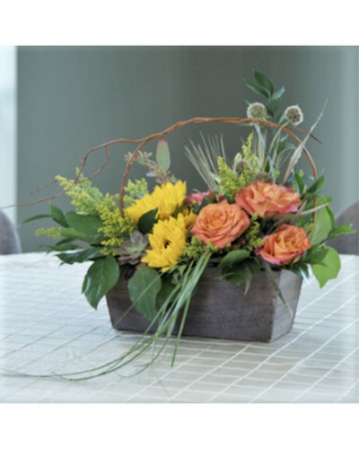 Sunset Walk from Baker Florist in Dover, OH