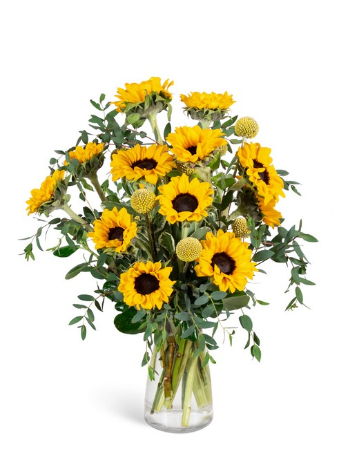 Wildflower Sunshine from Baker Florist in Dover, OH