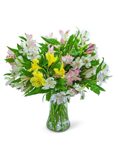 Lovely Peruvian Lilies from Baker Florist in Dover, OH