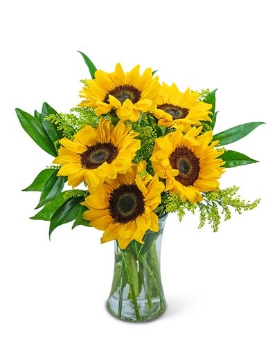 Sprinkle of Sunflowers from Baker Florist in Dover, OH