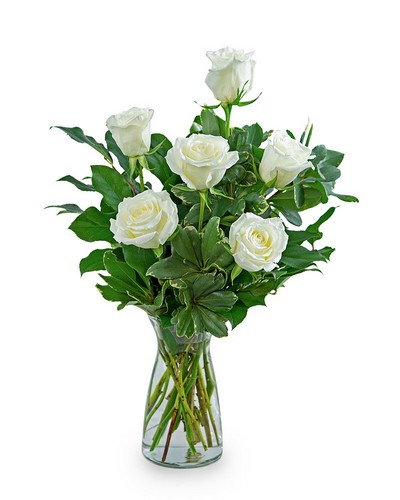 White Roses (6) from Baker Florist in Dover, OH
